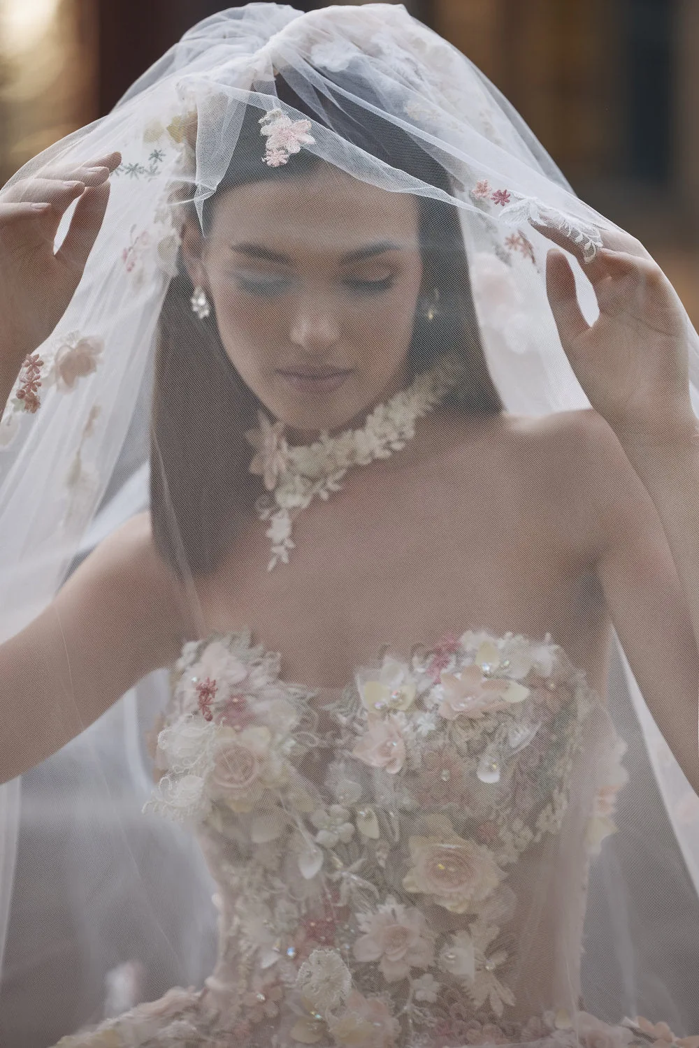 Veni Infantino floral appliqué ball gown with cathedral veil